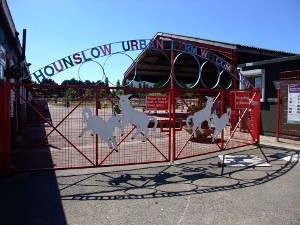 Hounslow Urban Farm