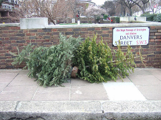 Christmas Tree Disposal in London